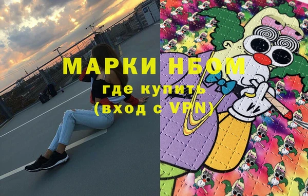 шишки Белоозёрский