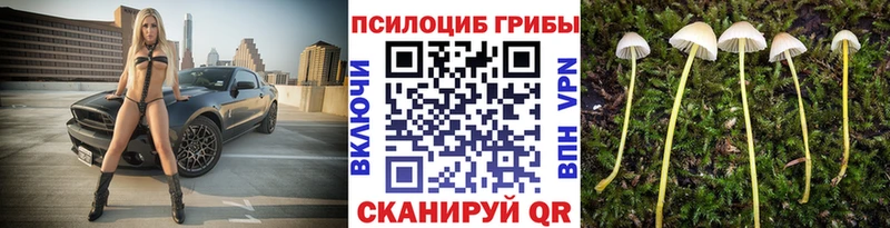Псилоцибиновые грибы мицелий  Уварово 
