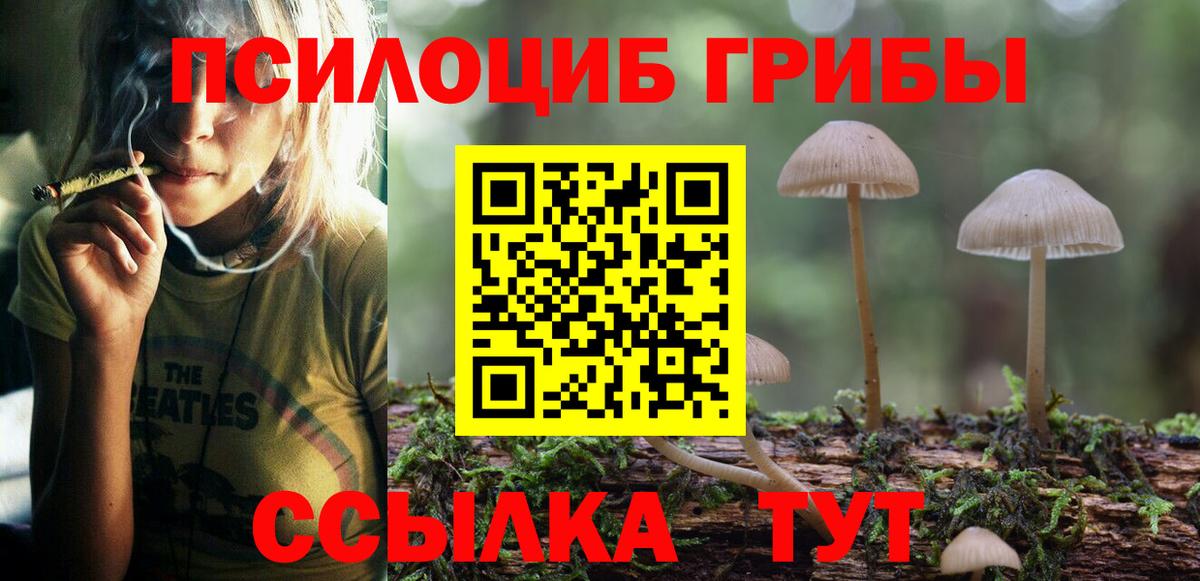 Псилоцибиновые грибы Psilocybine cubensis  Псилоцибиновые грибы GOLDEN TEACHER  Вход с VPN  Уварово 