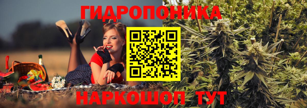 Каннабис конопля  Бошки Шишки OG Kush  Уварово  Вход с VPN 